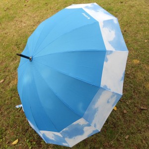 Auto Open Manual Close 190T fabric Waterproof Windproof Sport 16ribs blue straight Umbrella with long handle