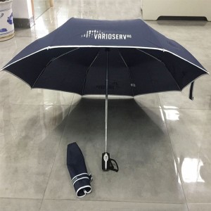 2019 Economical Standard size Windproof Travel Folding Umbrella Auto Open Close – Portable Compact Foldable umbrella Design – Navy blue