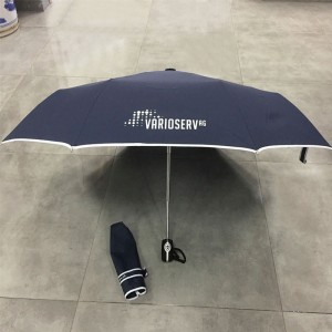 2019 Economical Standard size Windproof Travel Folding Umbrella Auto Open Close – Portable Compact Foldable umbrella Design – Navy blue