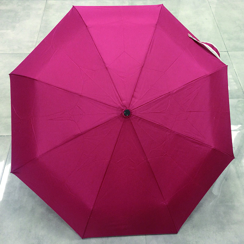 Compact-Auto-Open-Close-Folding-Umbrellas