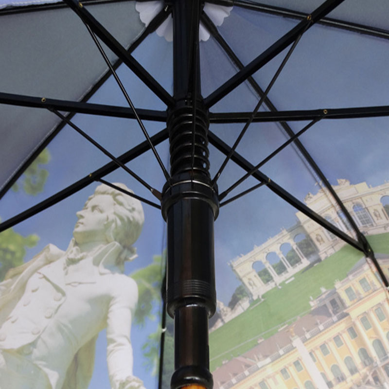 Umbrella with Curved Wooden Handle